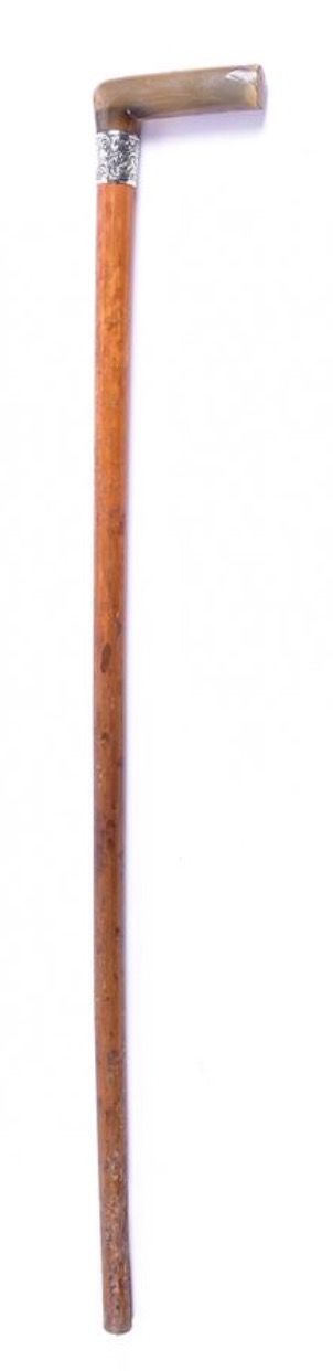 c19th walking cane with horn handle and hm silver collar