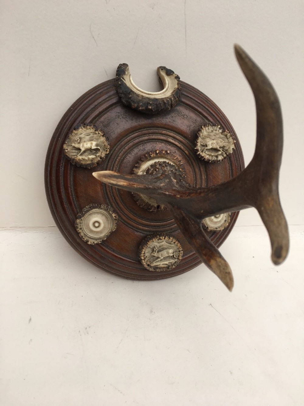 wall mounted c19th stag horn clothes hook