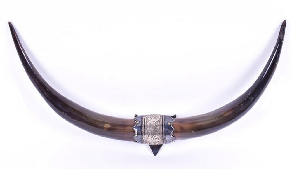 a decorative pair of late 19th early 20th century wallmounted cattle horns