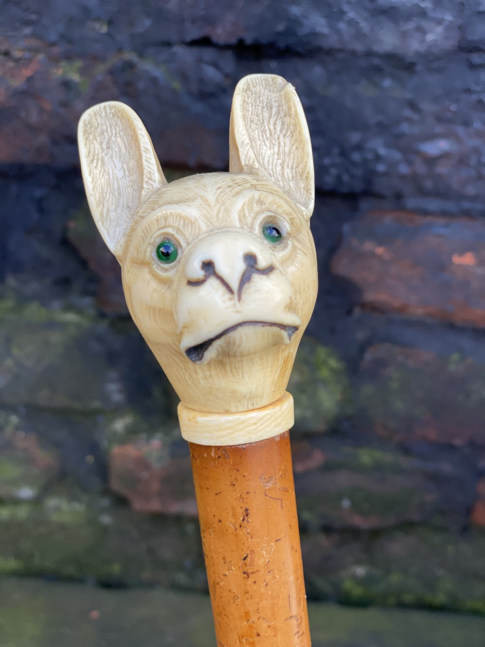 c19th carved dogs head walking stick