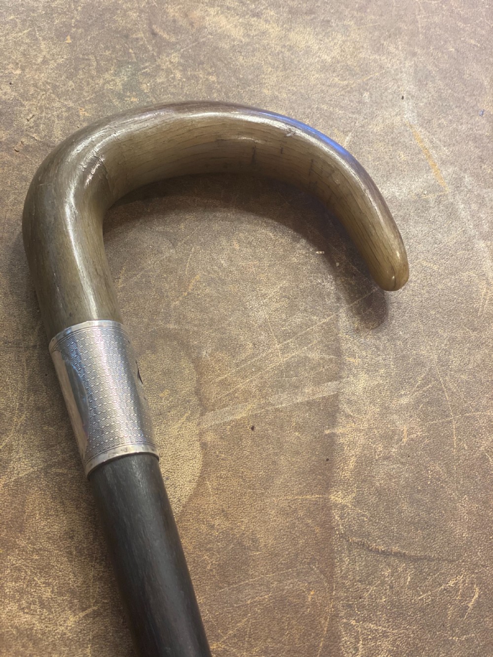 edwardian horn topped silver collared walking stick